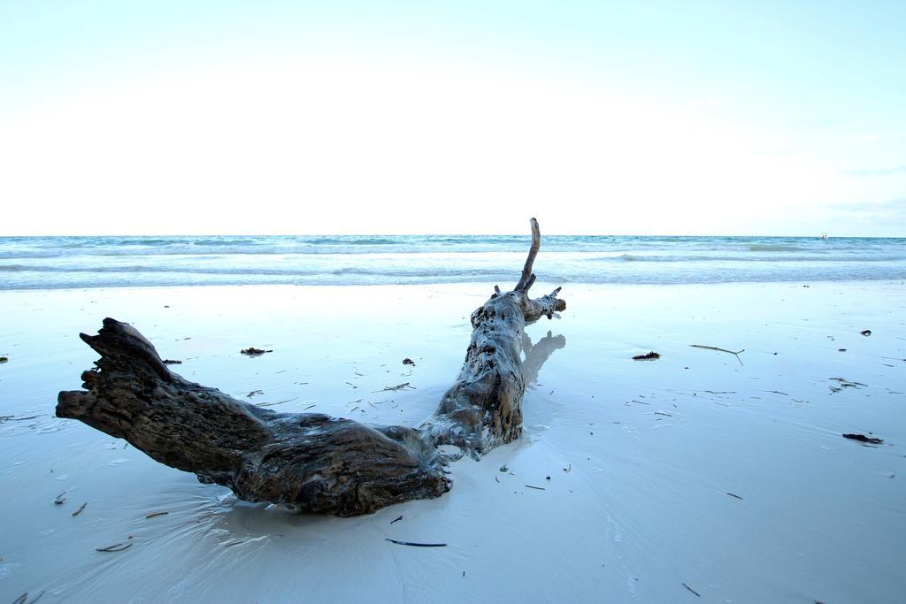 The Zubeida Boutique Resort Diani Beach Exterior foto